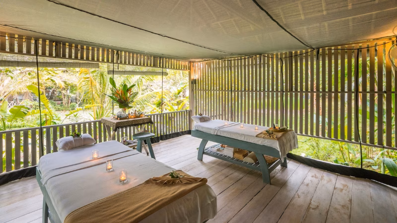 Paradise Spa X