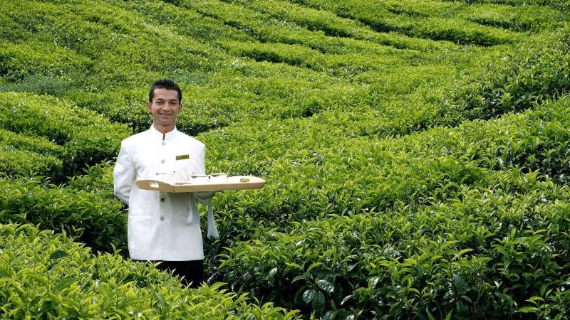 Cameron Highland Resort