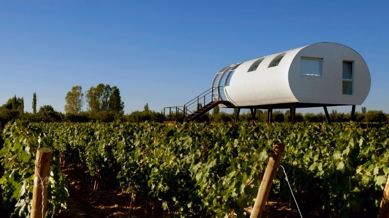 Limited Edition Vista Desde El Vinedo