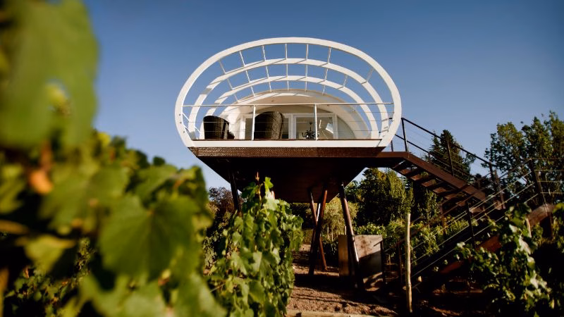 Limited Edition Vista Desde El Vinedo