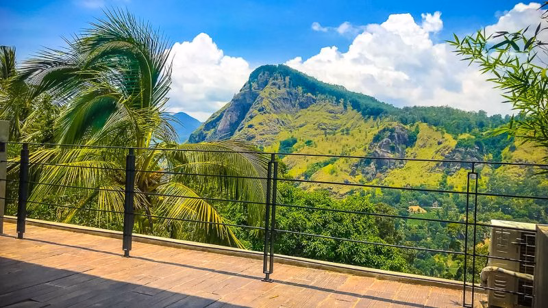 Ella Flower Garden View X