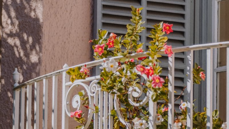 MNH Exterior Main Building