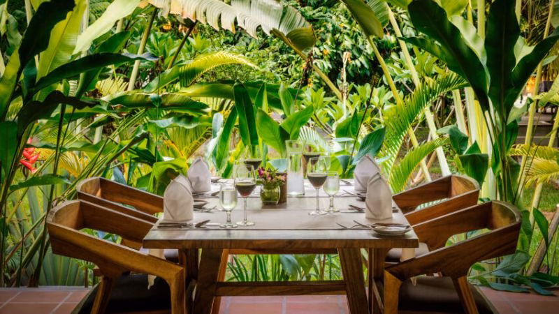 Smiling Gecko Farmhouse X