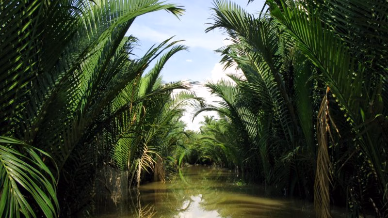Ho Chi Minh: Lokal produktion ved Mekong floden