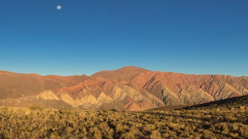 ENTORNO HOJ Min Scaled X