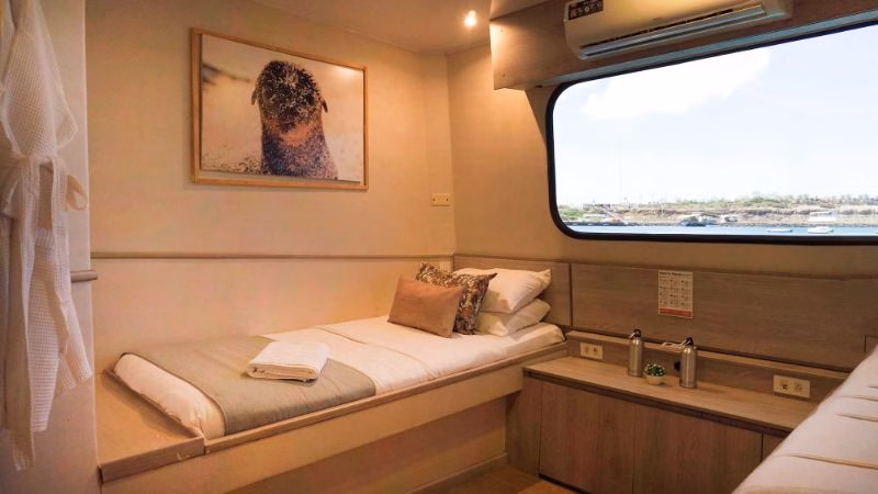 Twin Cabin Seaman Journey X