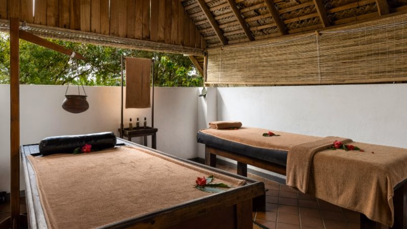 Aliya Ayurvie Spa New Feat X