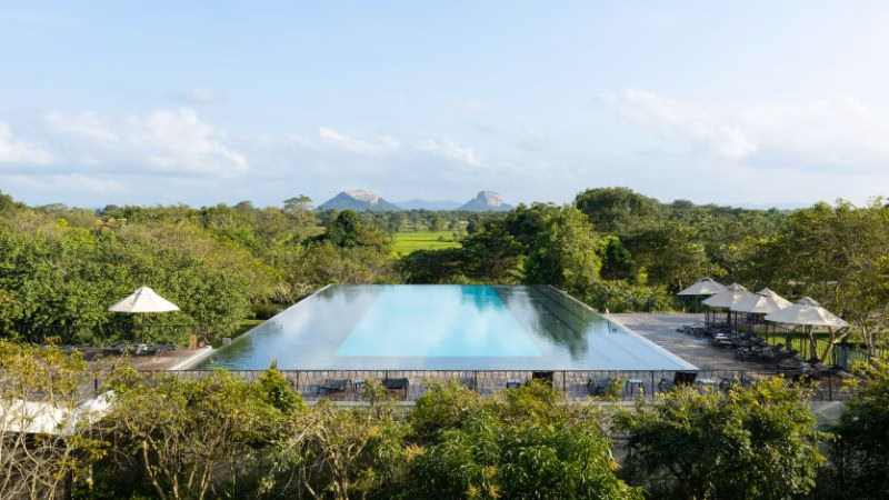 Aliya Gallery New Feat X