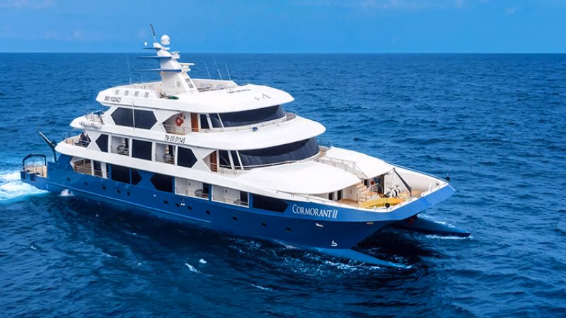 Cormorant Ii Catamaran X