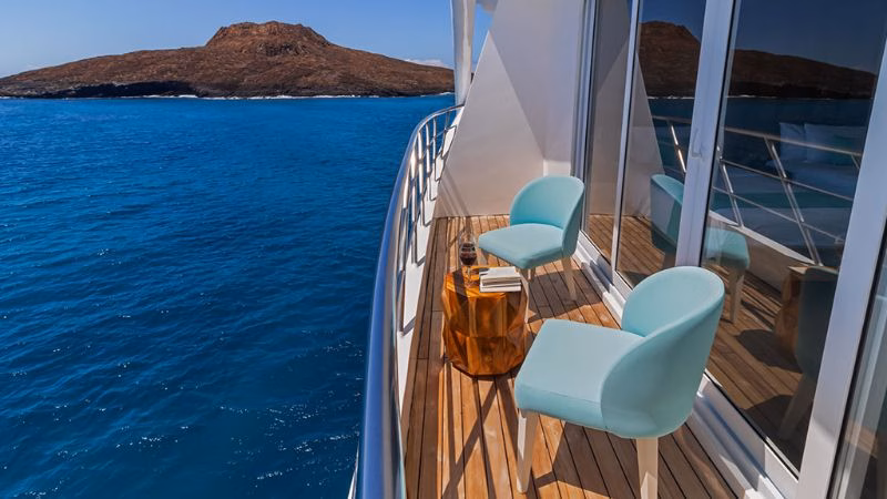 Endemic Panoramic Suite X