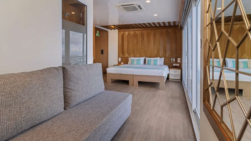 Endemic Panoramic Suite X