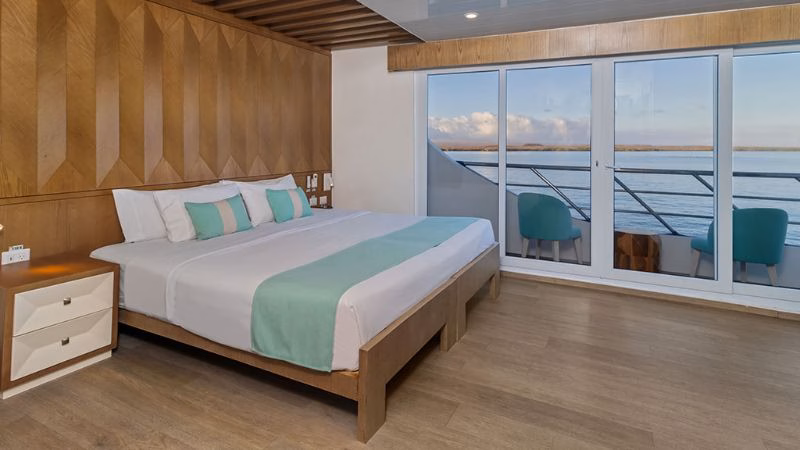 Endemic Panoramic Suite X