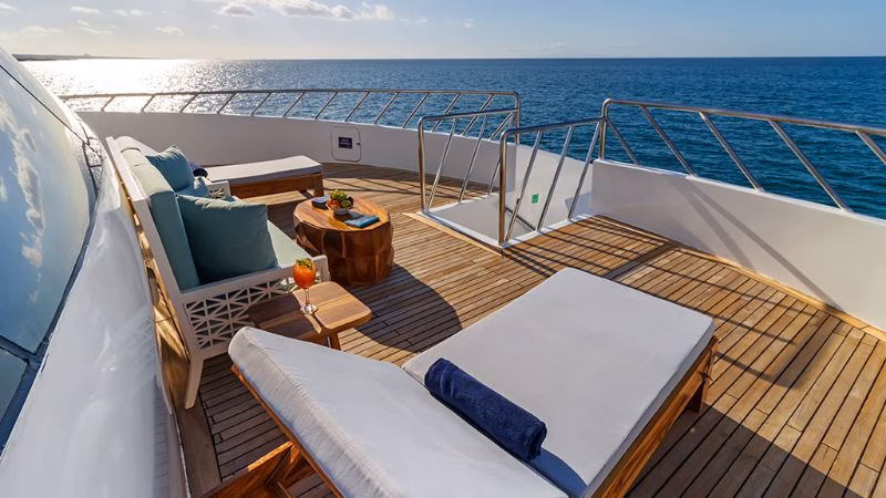 Endemic Upper Deck X