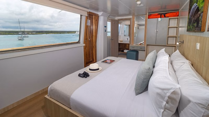 Galapagos Angel Cabin B X
