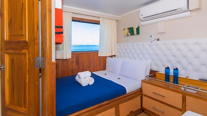 Gallery Foto Blue Spirit X