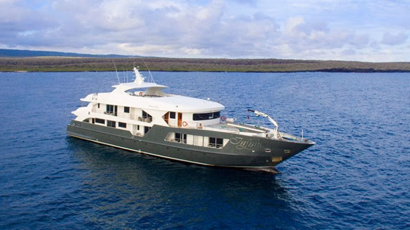 Infinity Exterior Aerial X