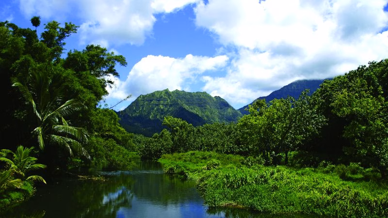 Kauai Hawaii X