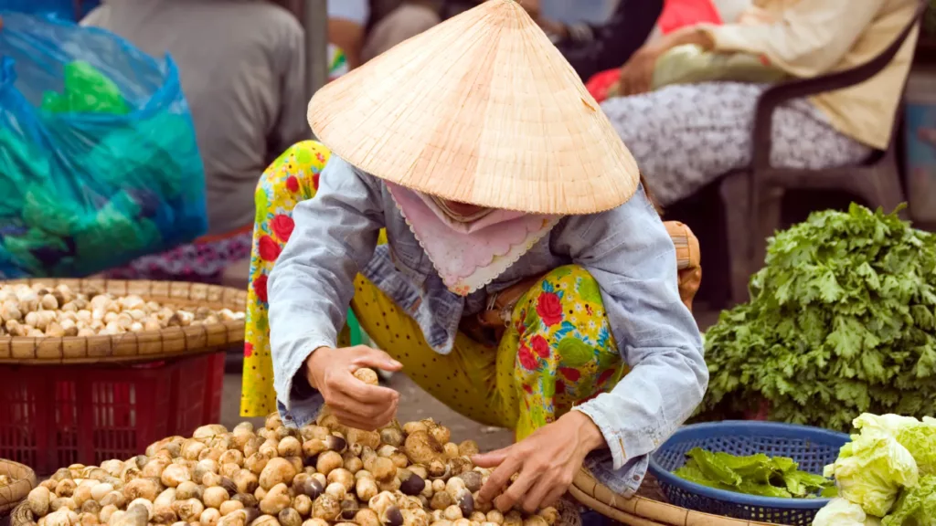 Ho Chi Minh: Saigons baggårde